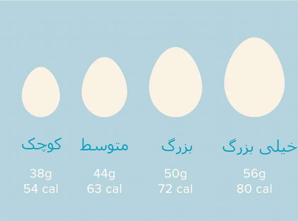 تصویر 4 از فروش تخم مرغ ماشینی ریز ساده + قیمت خرید به صرفه